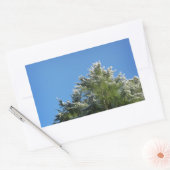 Pijnboom met sneeuwklemmen op blauwe hemel rechthoekige sticker (Envelop)