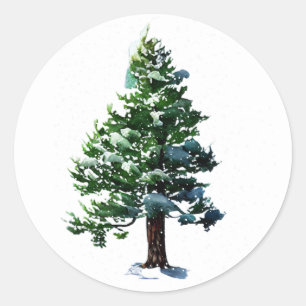 Pijnboom met sneeuwWaterverf die Kerstmis schilder Ronde Sticker