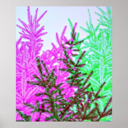 Pijnboom Moderne stijl Fotografische kunst Print (Voorkant)