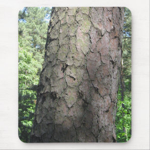 Pijnboom, palanga botanische tuin, LITOUWEN - Muismat