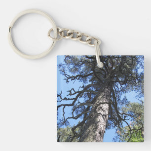 Pijnboom, palanga botanische tuin, LITOUWEN - Sleutelhanger
