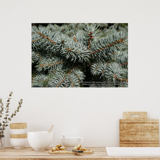 Pijnboom Poster (Keuken)