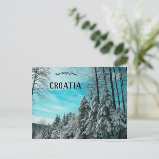 Pijnboombos bedekt met sneeuwplateau Kroatië Briefkaart (Staand voorkant)