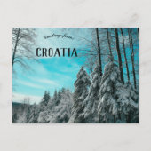 Pijnboombos bedekt met sneeuwplateau Kroatië Briefkaart (Voorkant)