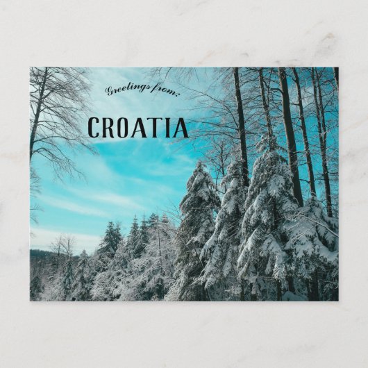 Pijnboombos bedekt met sneeuwplateau Kroatië Briefkaart (Voorkant)