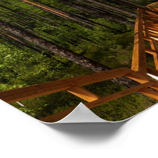 Pijnboombos Poster (Hoek)