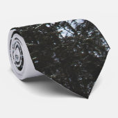 Pijnboombos Stropdas (Opgerold)