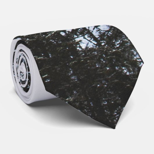 Pijnboombos Stropdas (Opgerold)