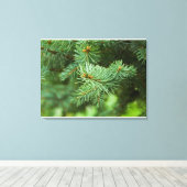 Pijnboomclose-up Canvas Afdruk (Insitu (Houten vloer))