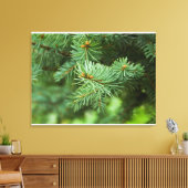 Pijnboomclose-up Canvas Afdruk (Insitu (Woonkamer))