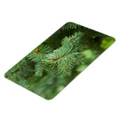 Pijnboomclose-up Magneet (Linkerzijde)