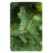 Pijnboomclose-up Magneet (Verticaal)