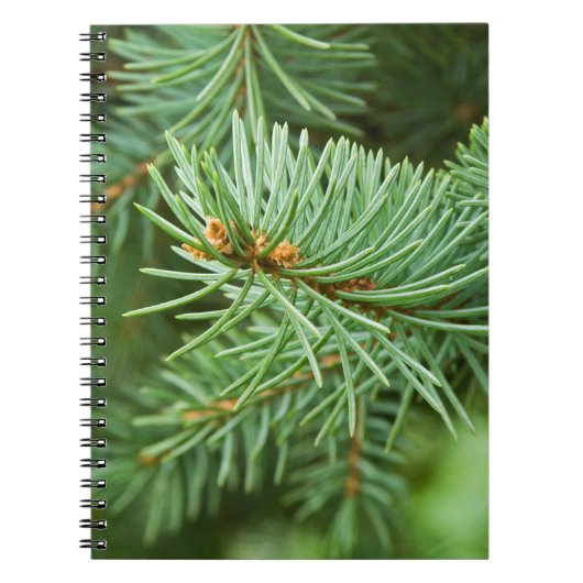 Pijnboomclose-up Notitieboek (Voorkant)