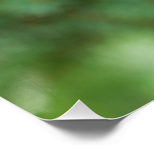 Pijnboomclose-up Perfect Poster (Hoek)