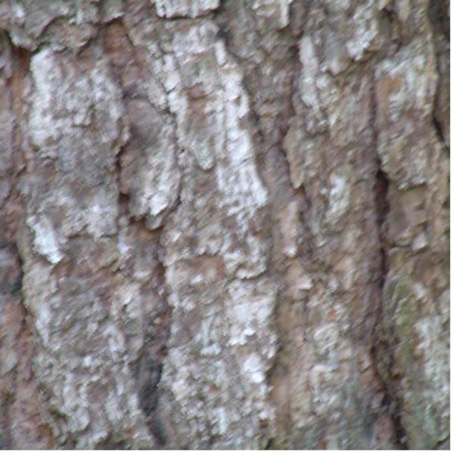 Pijnboomgaard Camo Natural Wood Camouflage Staand Fotobeeldje (Voorkant)