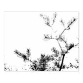 Pijnboomkegelledematen Ontwerp Rubberstempel (Afrduk)