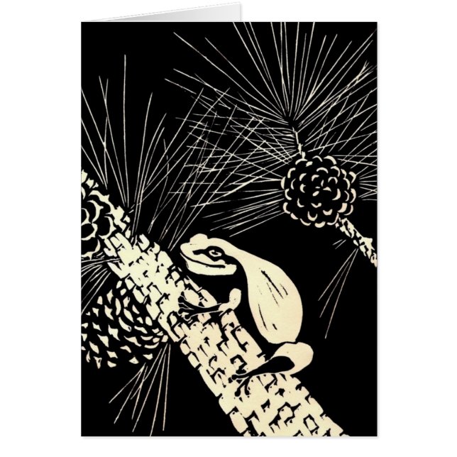 pijnboomkikker (Voorkant)