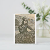 Pijnboomkleervruchten Briefkaart (Staand voorkant)