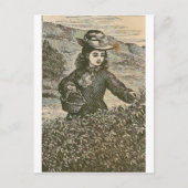 Pijnboomkleervruchten Briefkaart (Voorkant)