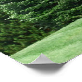 Pijnboomlandschap Poster (Hoek)