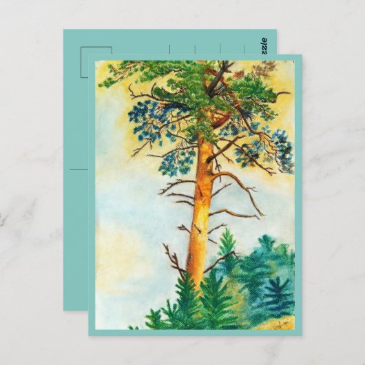 Pijnboompastel Briefkaart (Voorkant / Achterkant)