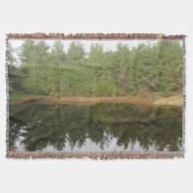 Pijnboomreflectie-meer