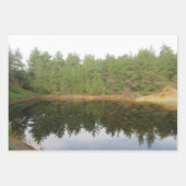 Pijnboomreflectie-meer Inpakpapier Vel (Voorkant 2)
