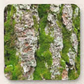 Pijnboomschors met moss bier onderzetter (Voorkant)