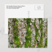 Pijnboomschors met moss briefkaart (Voorkant / Achterkant)