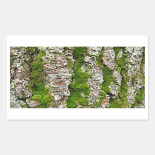 Pijnboomschors met moss rechthoekige sticker
