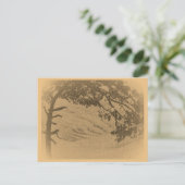  pijnboomsilhouet, zonsopgang briefkaart (Staand voorkant)