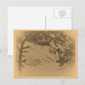  pijnboomsilhouet, zonsopgang briefkaart (Voorkant / Achterkant)