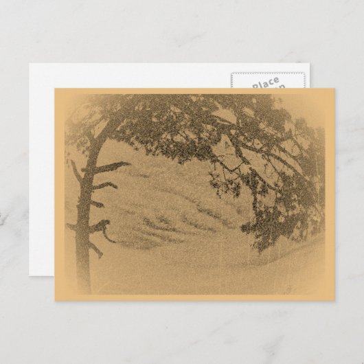  pijnboomsilhouet, zonsopgang briefkaart (Voorkant / Achterkant)