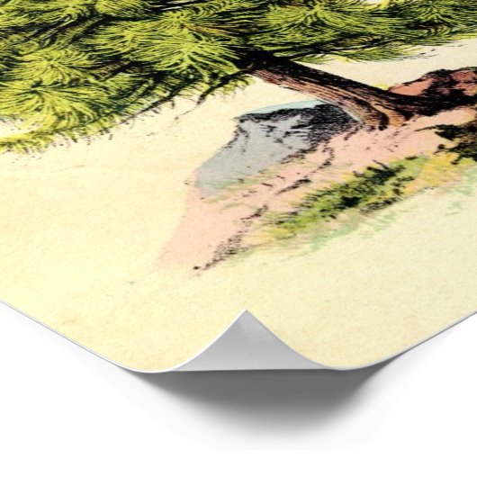 Pijnboomstructuur Antiek Poster voor botanische af (Hoek)