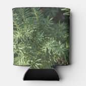 Pijnbos Blikjeskoeler (Achterkant)