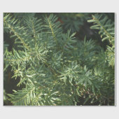 Pijnbos Cadeaupapier (Vlak)