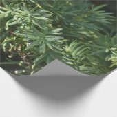 Pijnbos Cadeaupapier (Hoek)