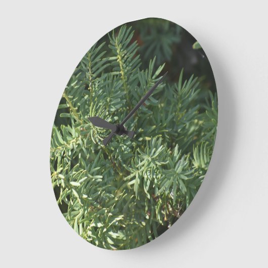 Pijnbos Grote Klok (Hoek)