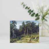 Pijnbos in de provincie Viatka Briefkaart (Staand voorkant)