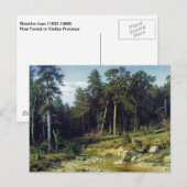 Pijnbos in de provincie Viatka Briefkaart (Voorkant / Achterkant)