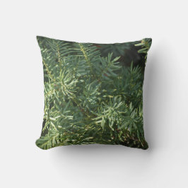 Pijnbos Kussen