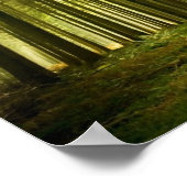 Pijnbos met zonneschijn poster (Hoek)