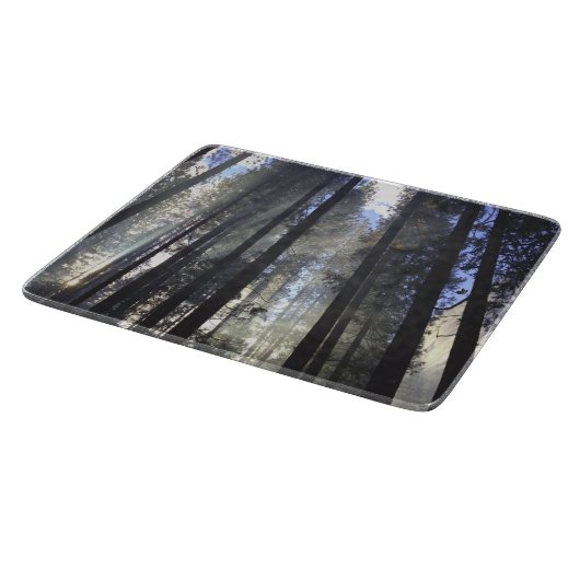 Pijnbos met zonneschijnse Natuur Snijplank (Hoek)