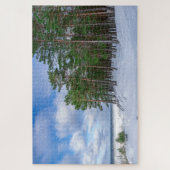 Pijnbos nabij de zee kust in Letland Legpuzzel (Verticaal)