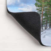 Pijnbos nabij de zee kust in Letland Muismat (Hoek)