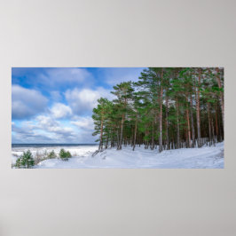 Pijnbos nabij de zee kust in Letland Poster