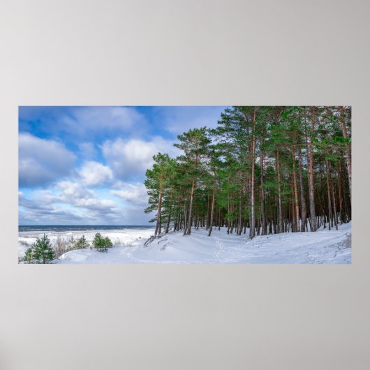 Pijnbos nabij de zee kust in Letland Poster (Voorkant)