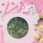 Pijnbos Papieren Bordje (Feest)