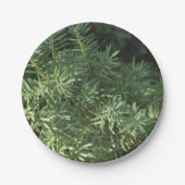 Pijnbos Papieren Bordje (Voorkant)