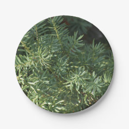 Pijnbos Papieren Bordje